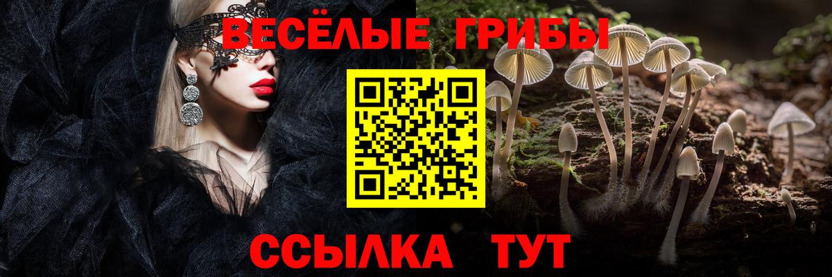 Юрга  Псилоцибиновые грибы ЛСД  Галлюциногенные грибы мухоморы  Вход с VPN 