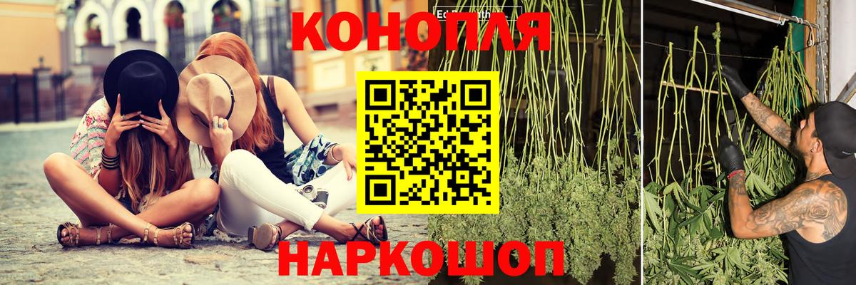 Конопля планчик  Вход с VPN  Конопля AK-47  Юрга  Бошки марихуана сатива 